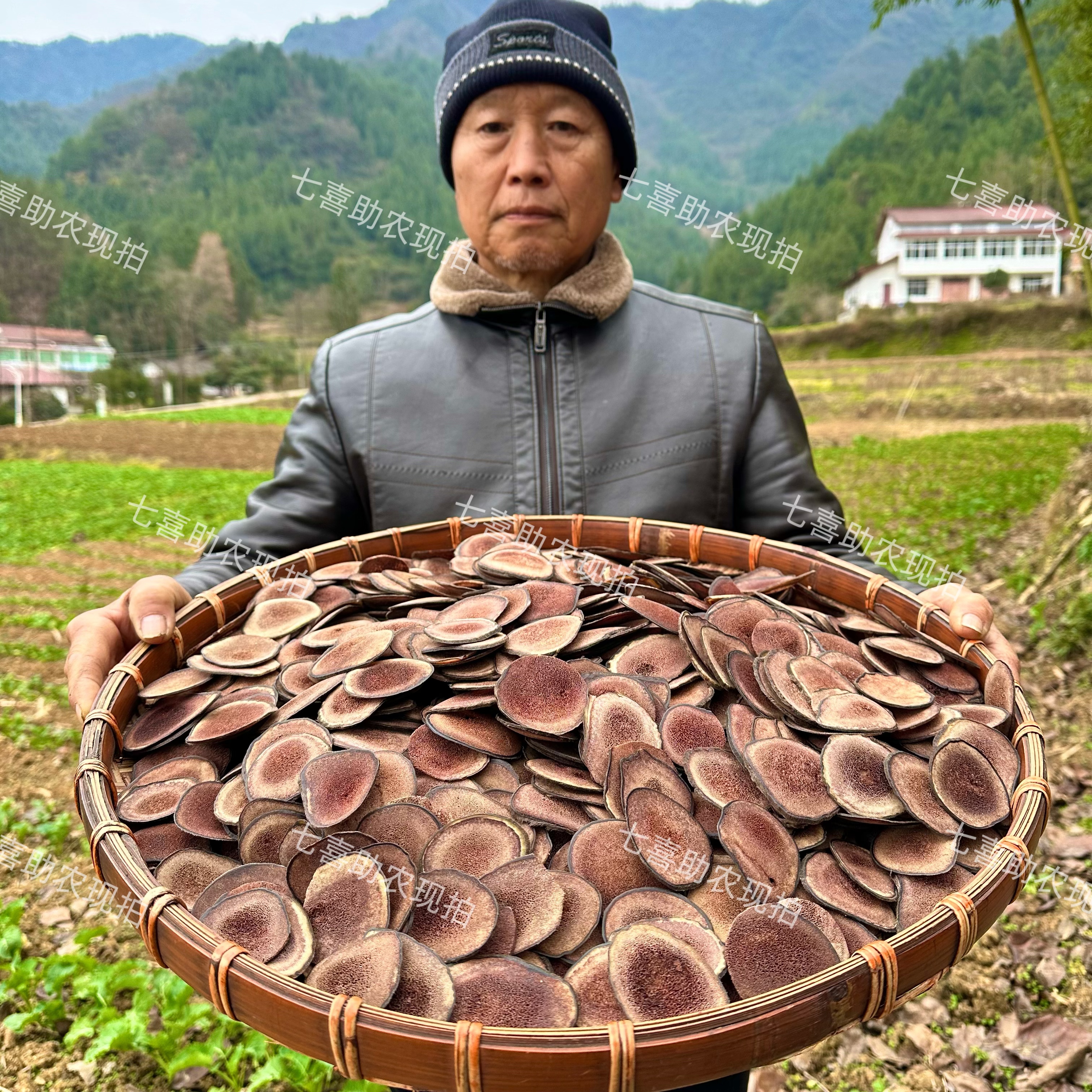 【现收鹿茸】鹿茸片泡酒煲汤