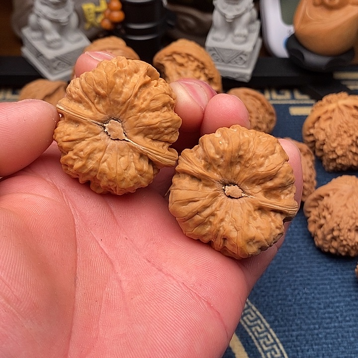 文玩核桃把件蛤蟆41