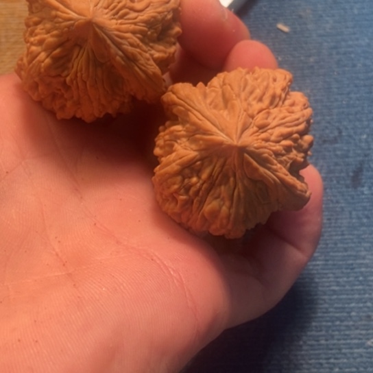 吊坠桃核全品大沽石41