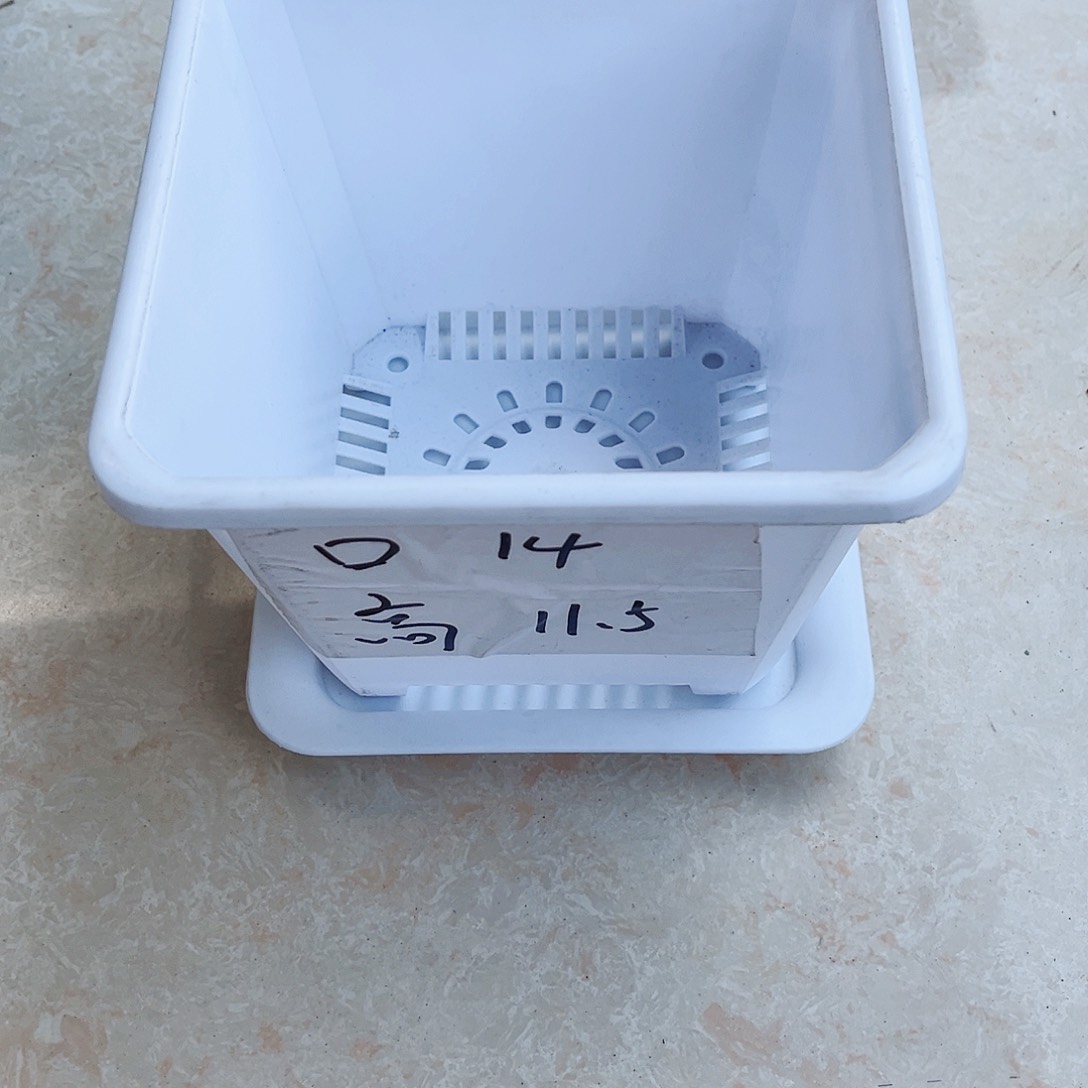 塑料升级款景天14方白色盆10个带托盘