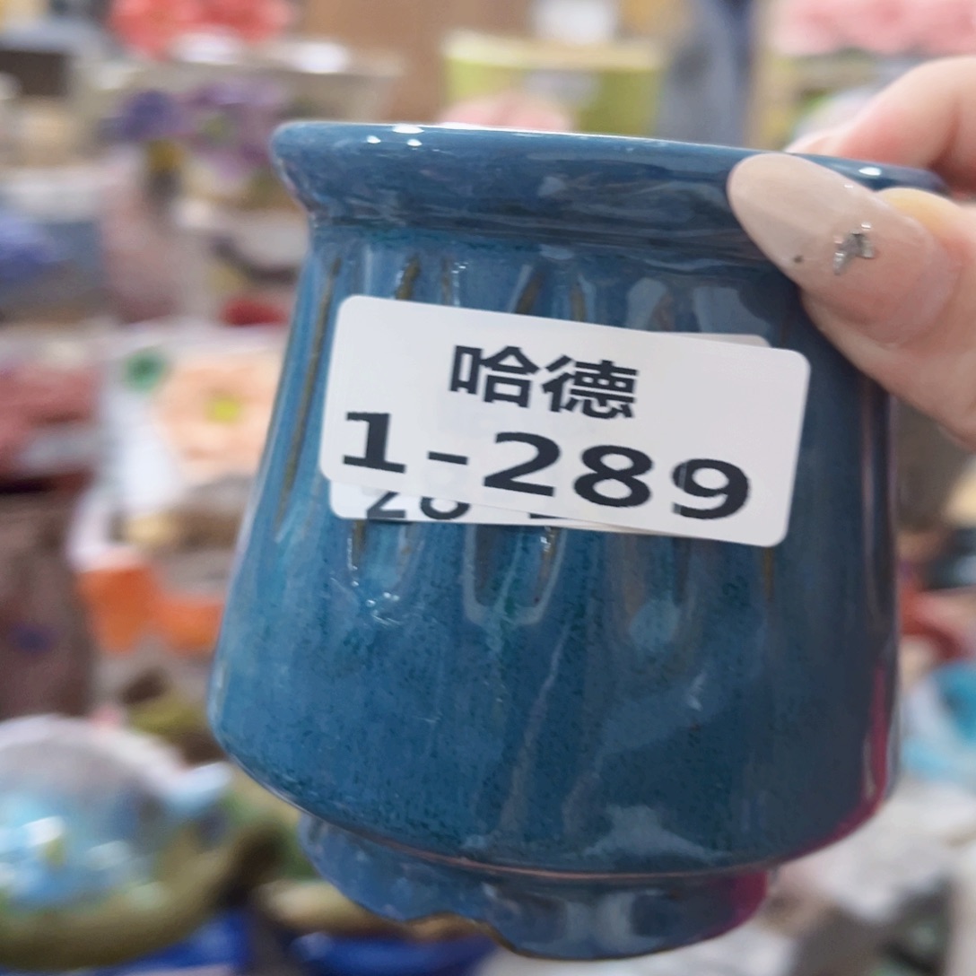 1289 满18.8元包邮发货