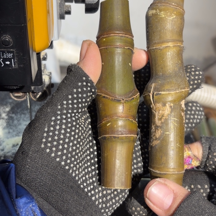 彬***实心竹竹竹竹竹竹竹竹竹