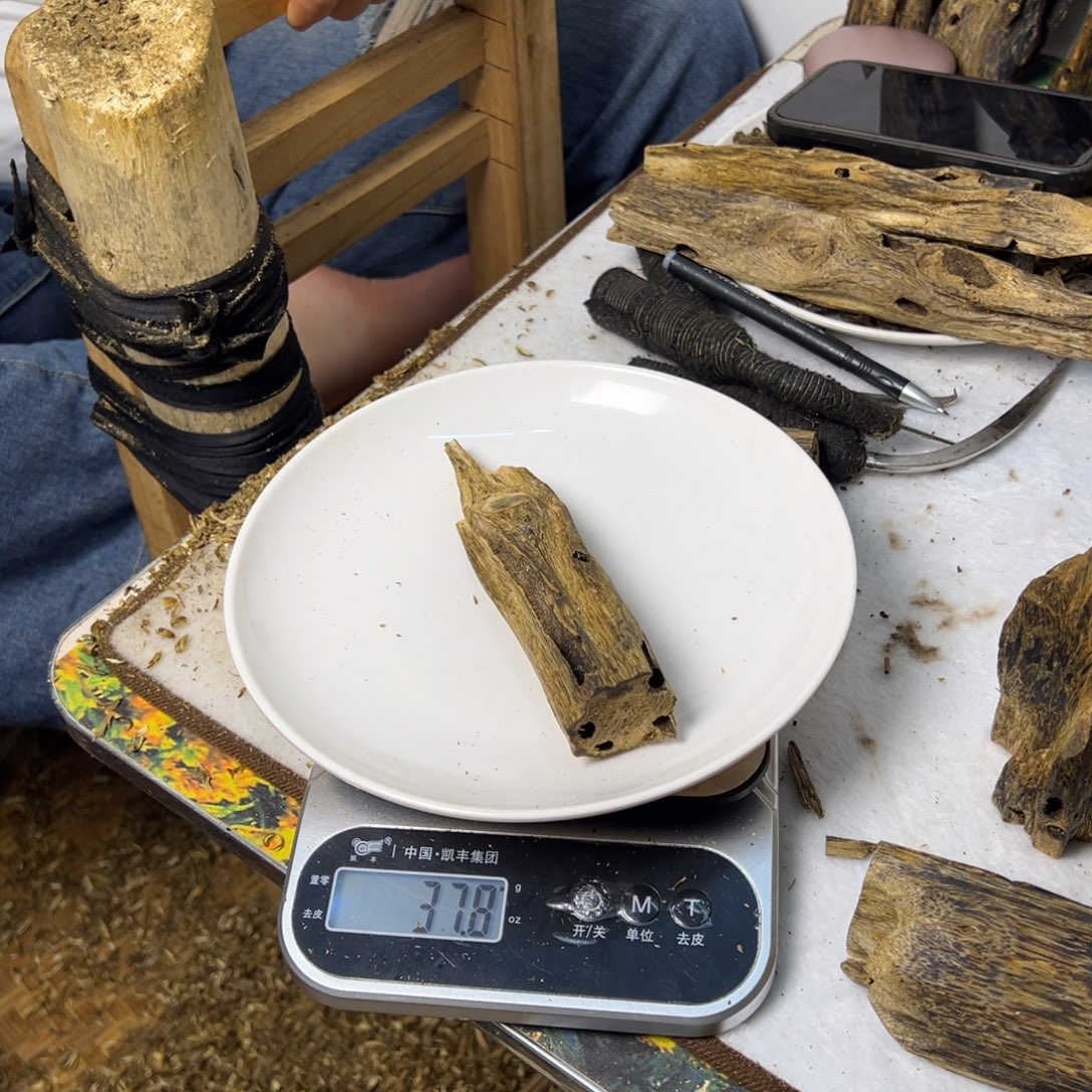 线香奇楠虫漏香37克