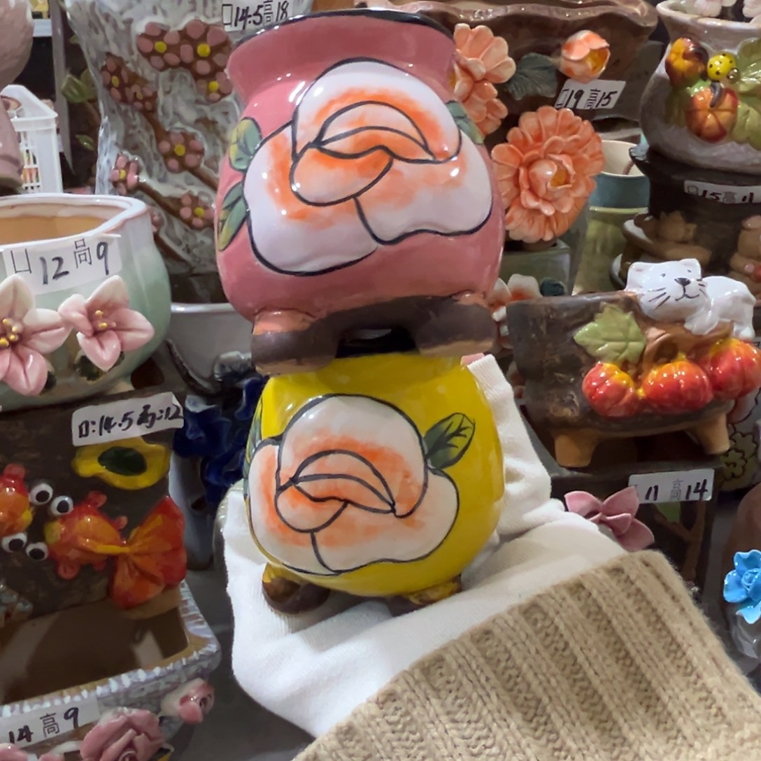 花盆，拍满20发货，退款拉黑