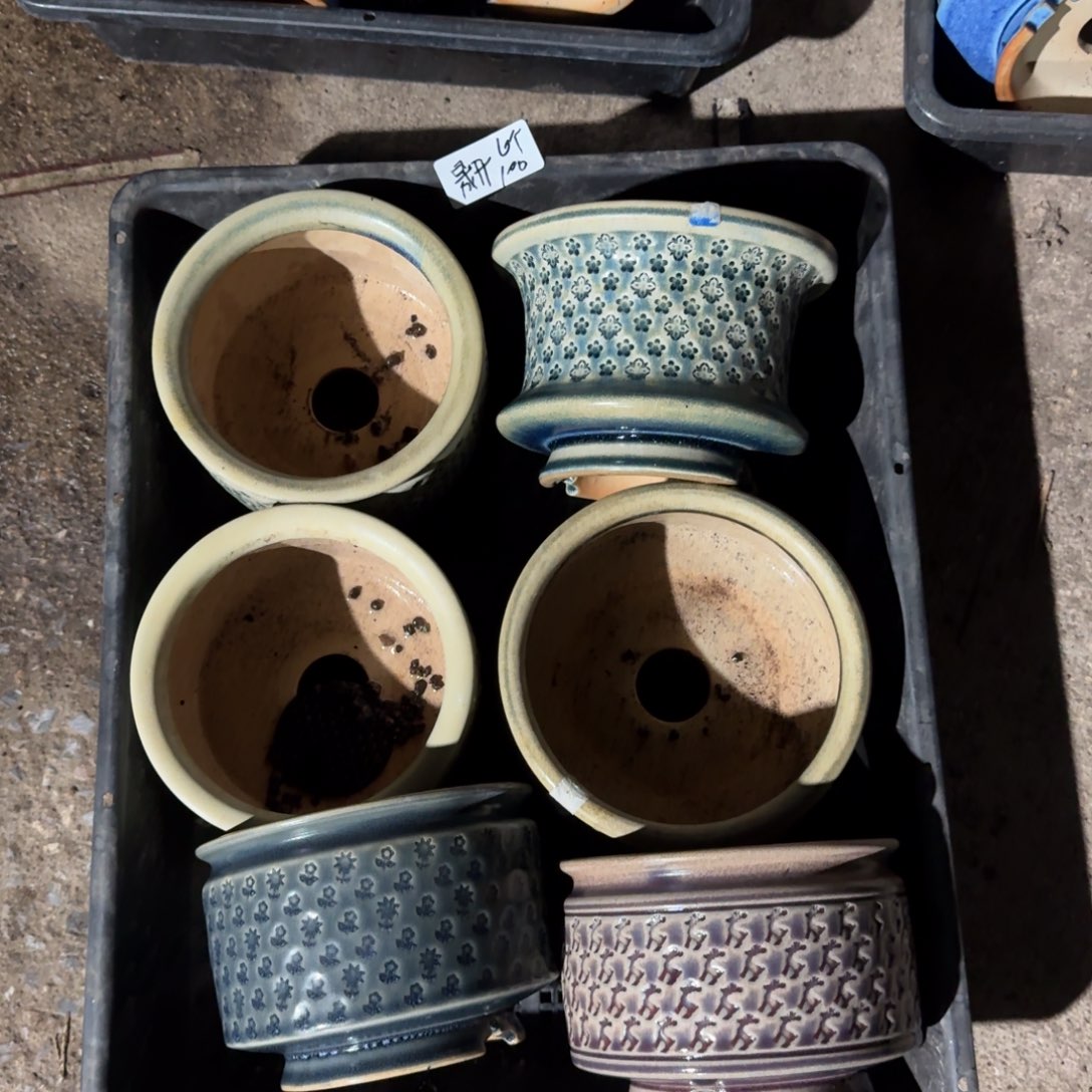 昴开妈妈6个东云烧100元