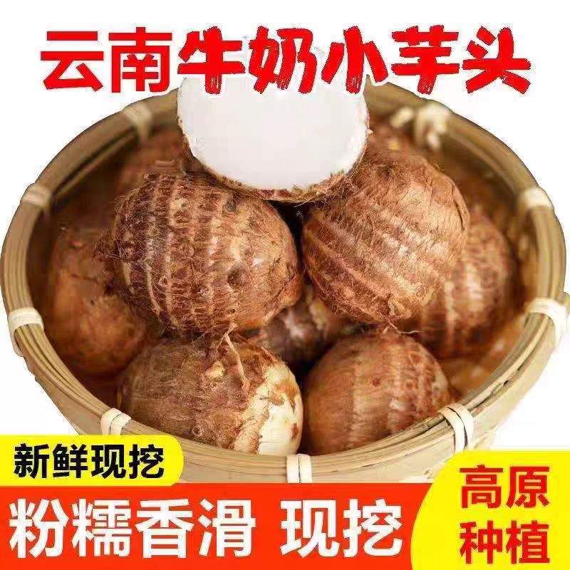 云南牛奶芋头小香芋5斤新鲜毛芋头现挖农家自种奶油芋艿软糯蔬菜