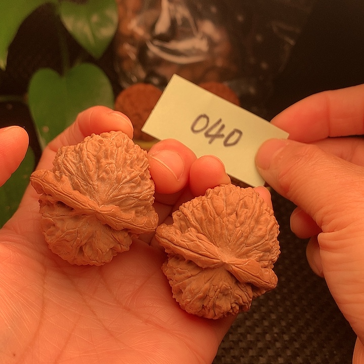 【闪购商品】把件文玩核桃41三角白040