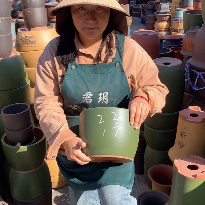 紫砂花盆盆栽花卉苗木种植