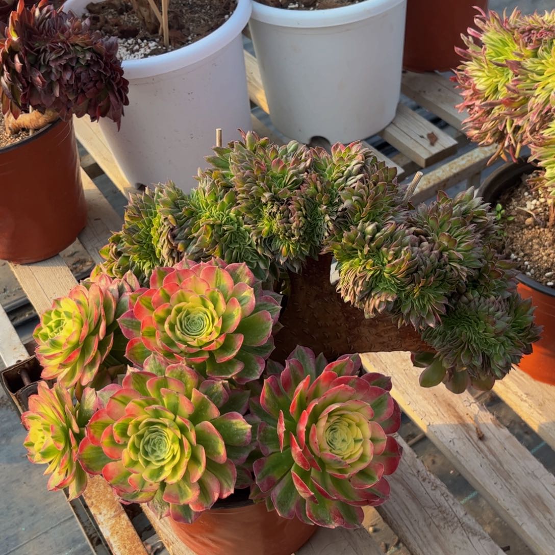 海王法师法师法师03号