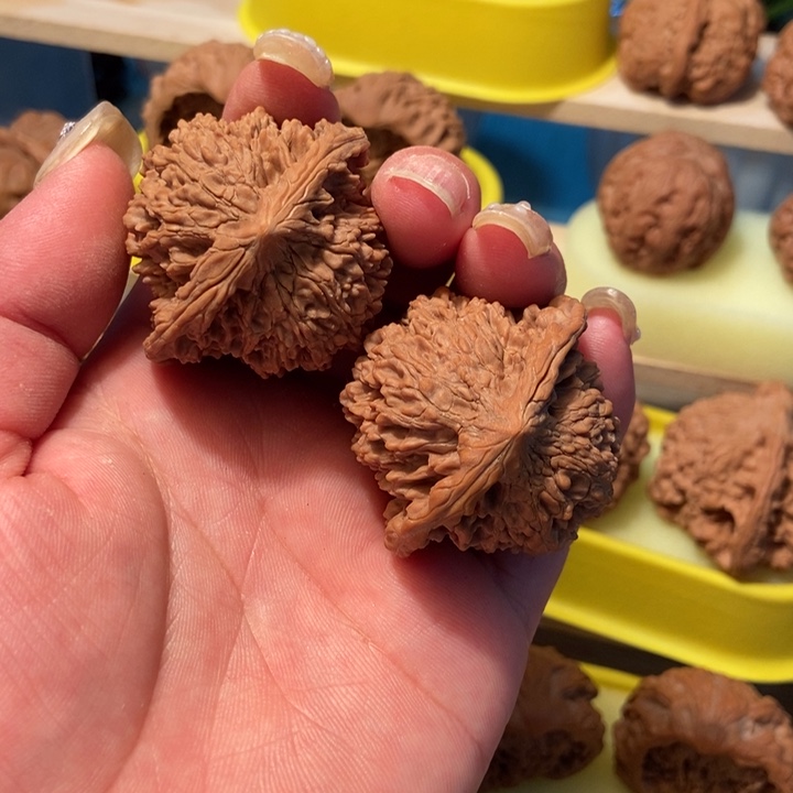 官方网站发布消息