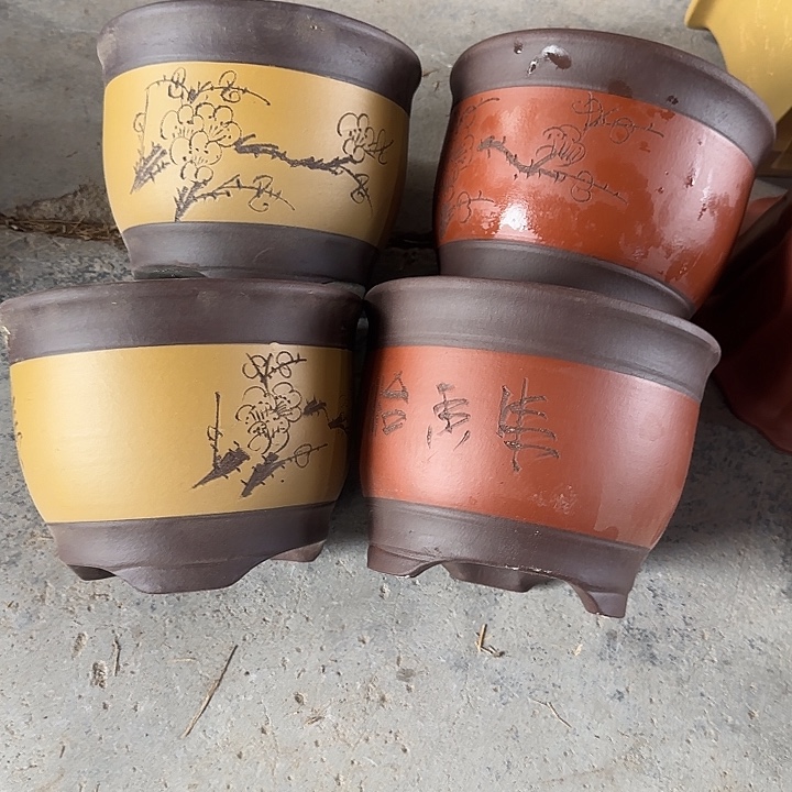 19×15四只      开播福利