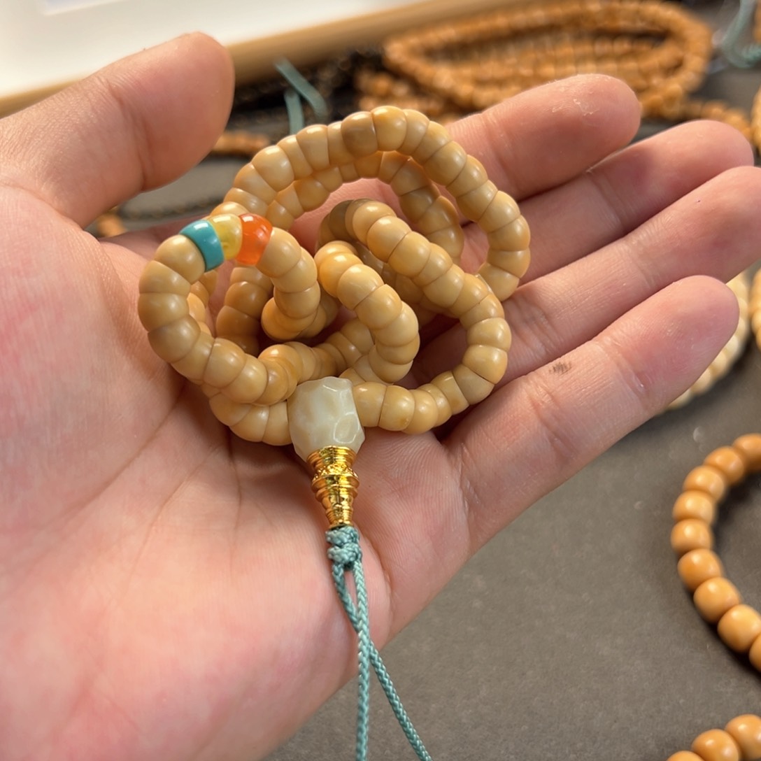 菩提根/象牙果吊坠龙脊大肠一套带三通