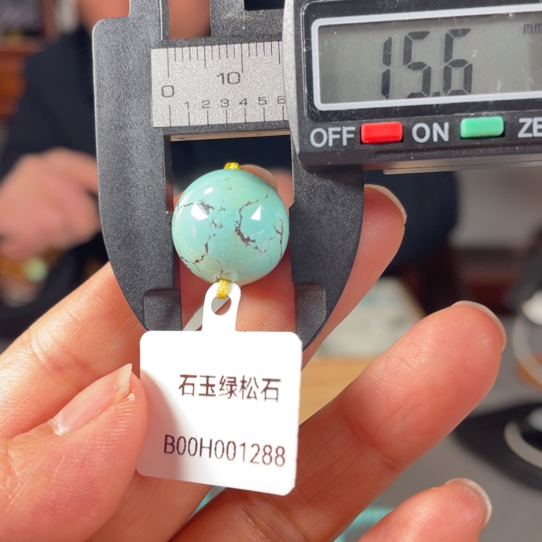 绿松石颈饰未镶嵌
