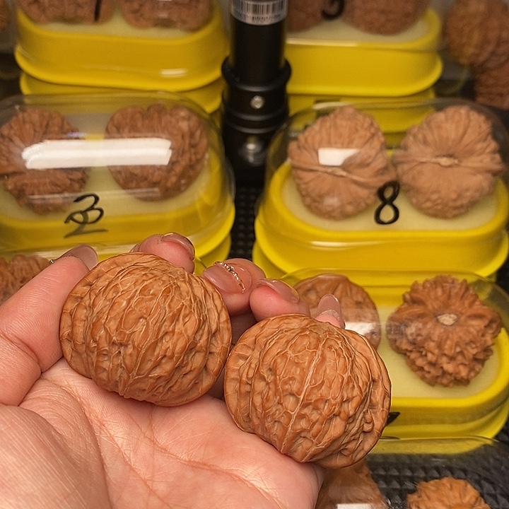 ****黄43全品铁锤            