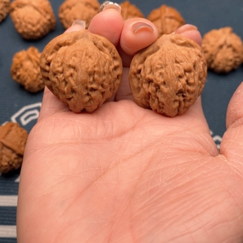 橄榄核手串/手链柯*王黑金刚