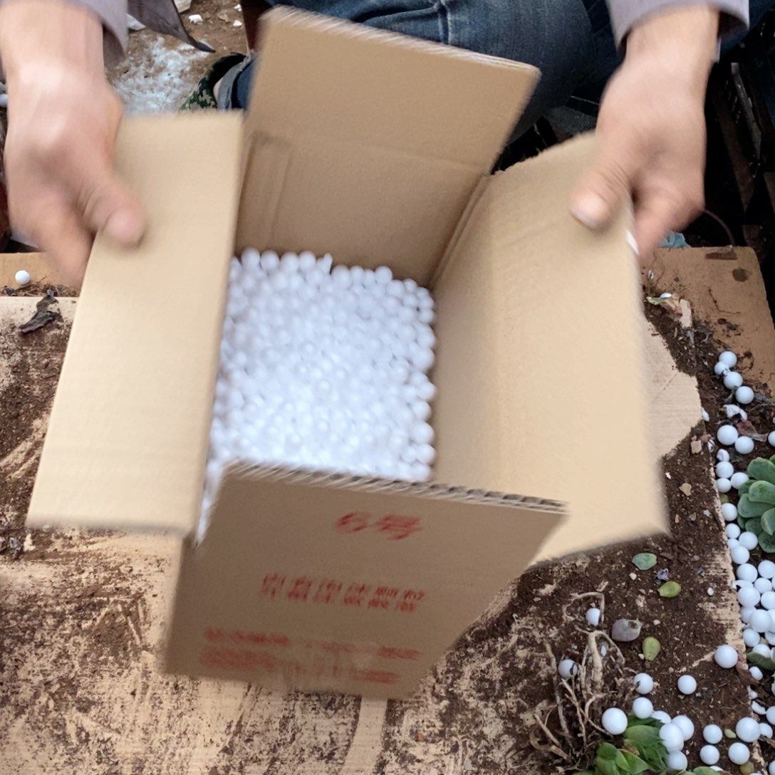 小***苺9.9不知道几颗版本