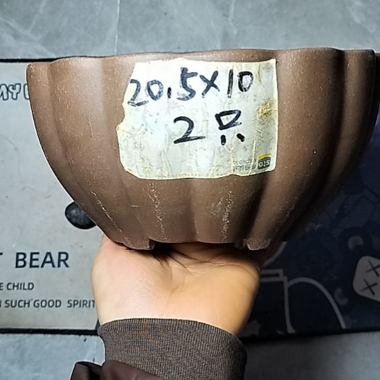 南瓜两个紫砂花盆