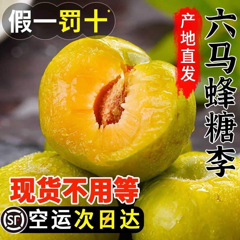 【W拍3斤送2斤 到手带箱约5.5斤 】贵州六马蜂糖李现摘现发每一箱带溯源防伪码假一赔十李子同城送贵州省