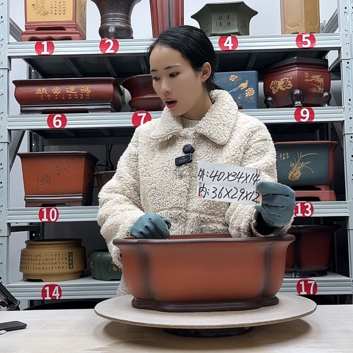 紫砂花盆紫砂花盆