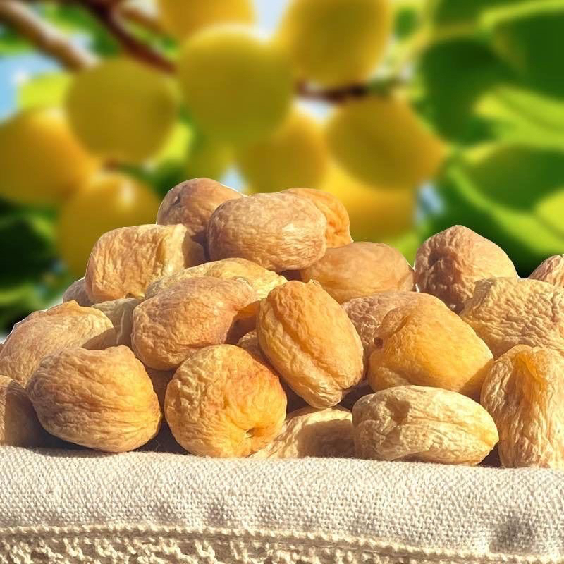 （新疆直发）新疆小白杏干吊干杏一杏两吃