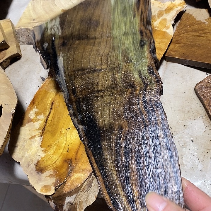 金丝楠木小叶桢楠木