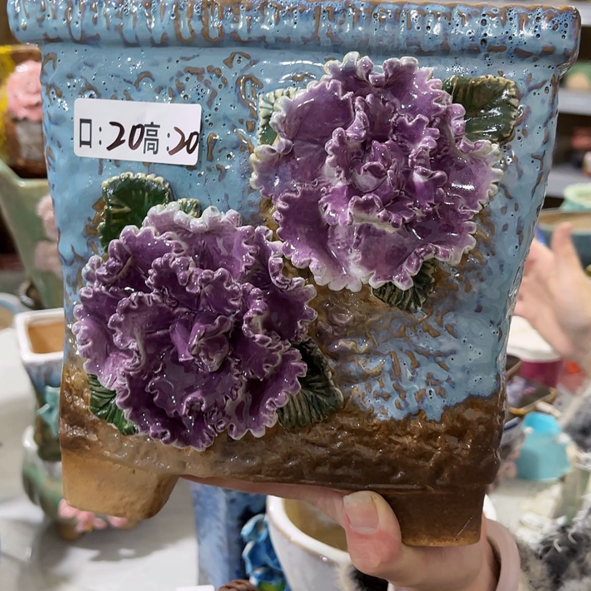【闪购商品】红陶福利