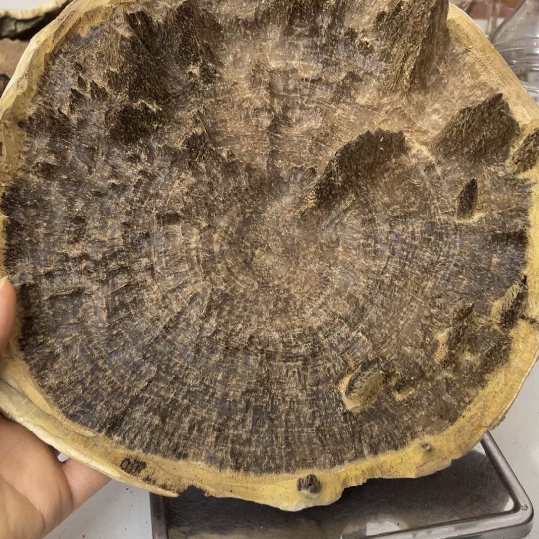 沉香摆件海南沉香摆件115克
