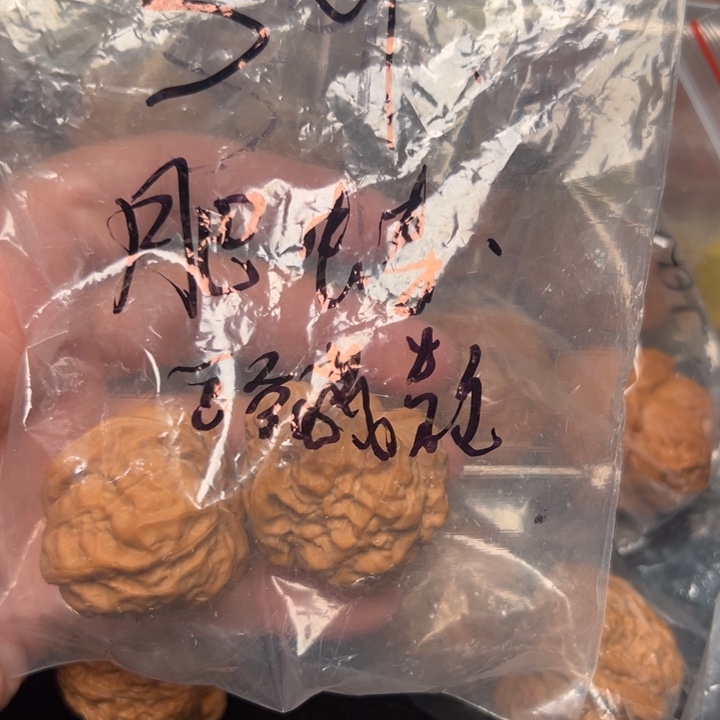 核桃肥娃，39，白茬