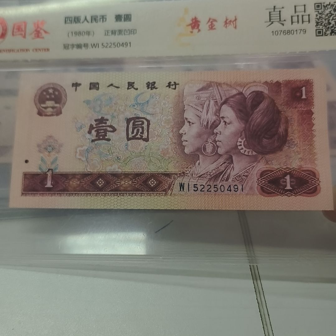 801黄金树一枚(特惠专属价)