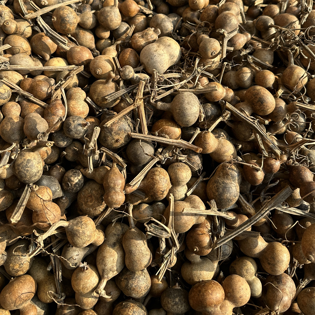 天然花皮小葫芦随机发货默认微瑕不报龙头一箱50一60个，不退不换