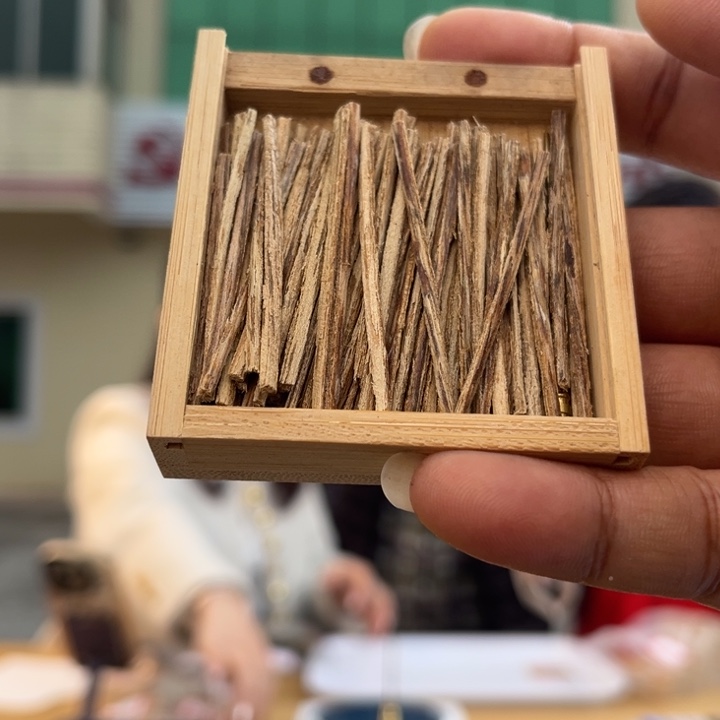 沉香沉香碎屑奇楠沉香插条多样性发一