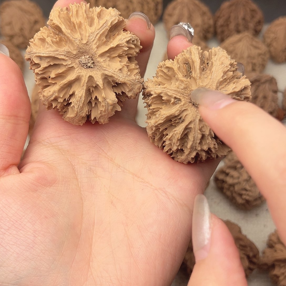 文玩核桃吊坠秦岭山脉的南1