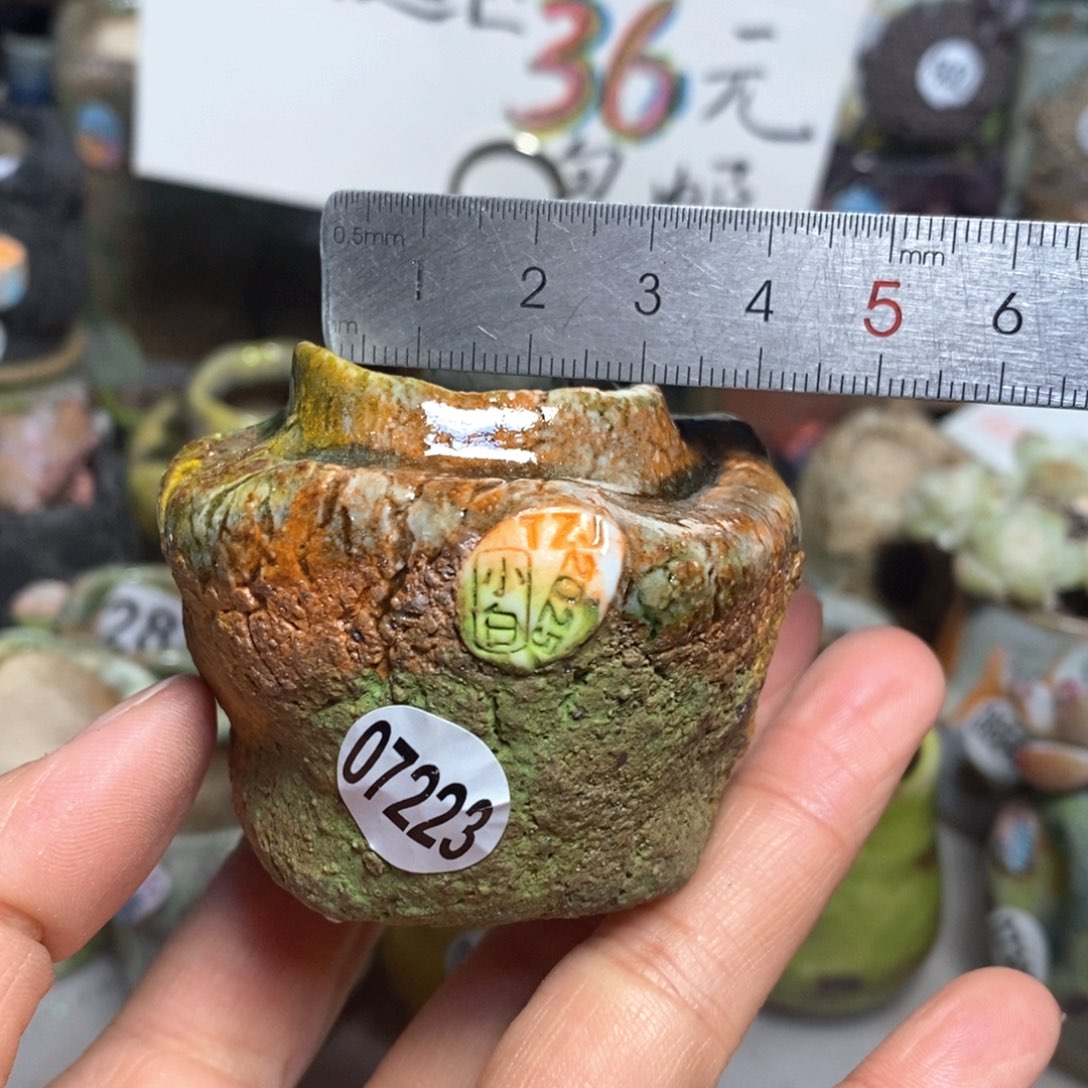 花盆拍3送一个小礼物