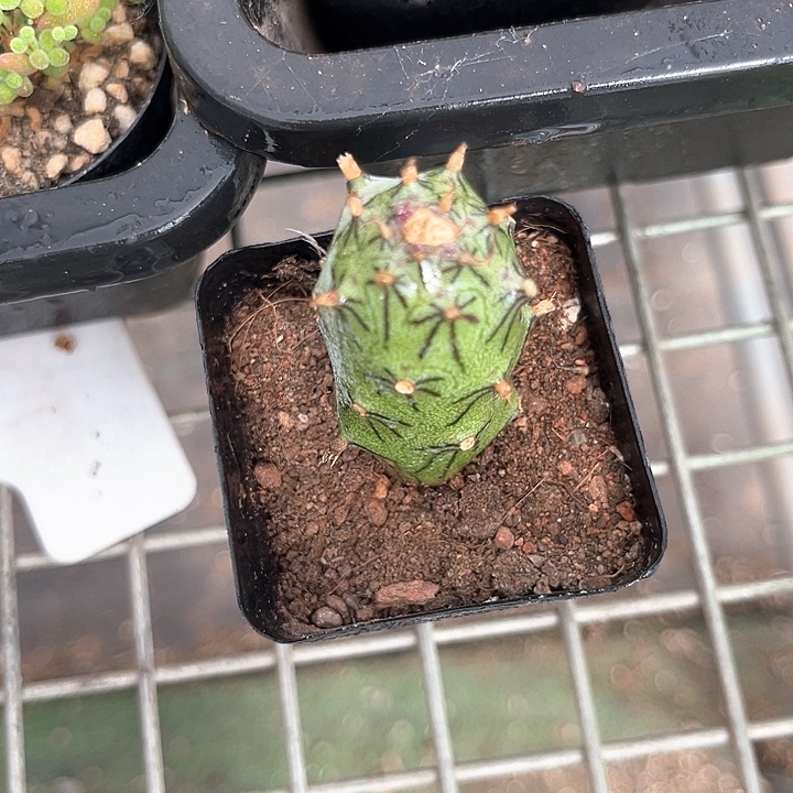 我也不知道我为什么会这么