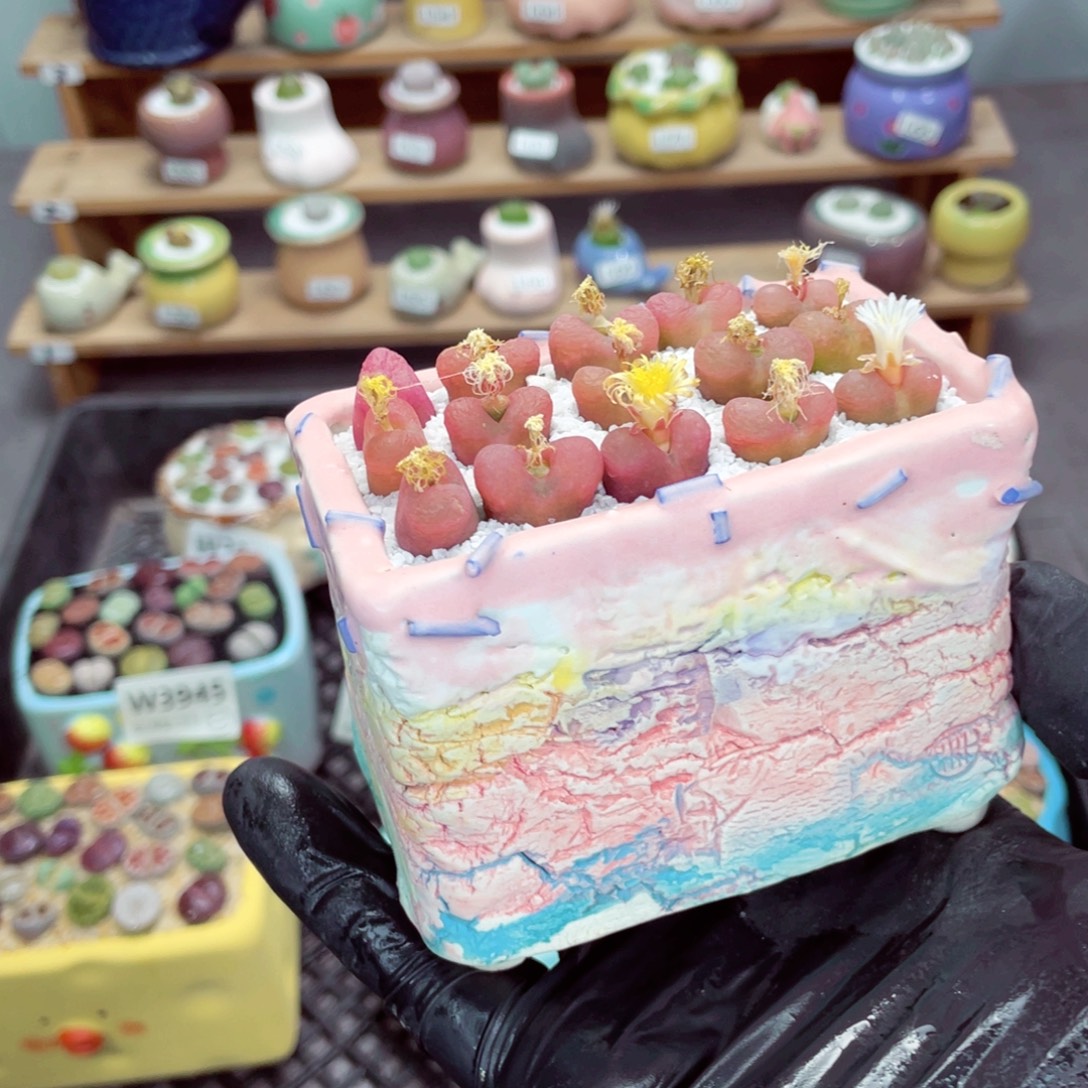 夜间零下地区拍保温箱w3960