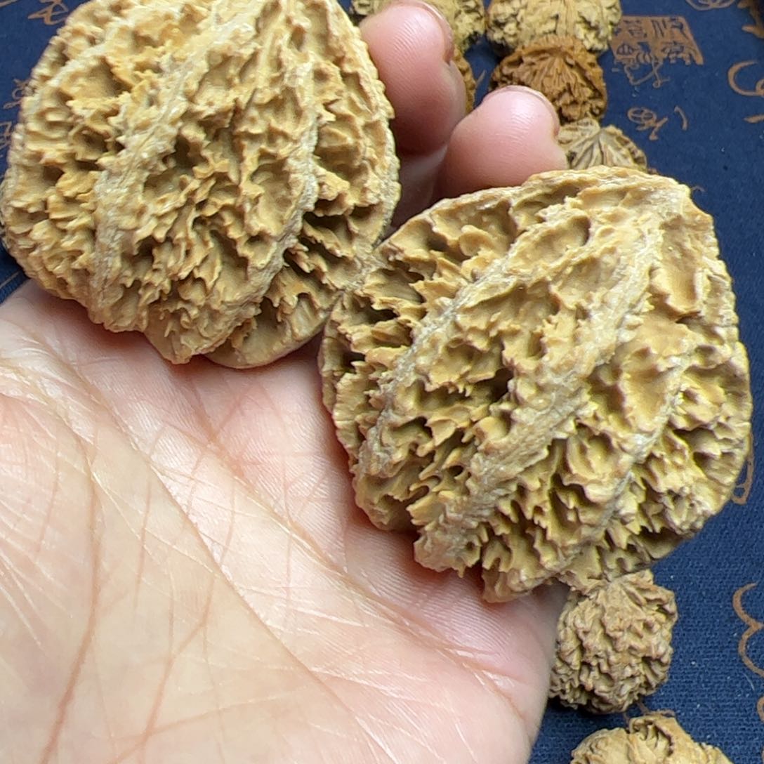 文玩核桃把件秦岭野生植物核桃