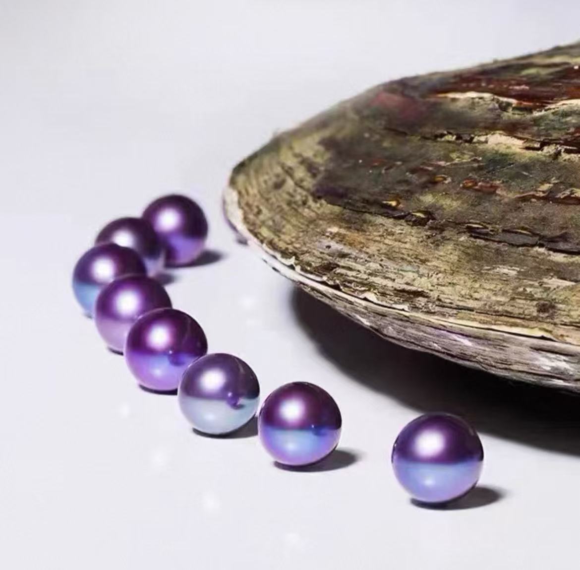 爱迪生单珠 （保10mm）下2单开3单 活体开蚌不退不换