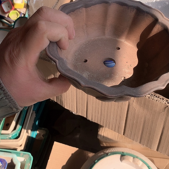 紫砂我要不就是你一