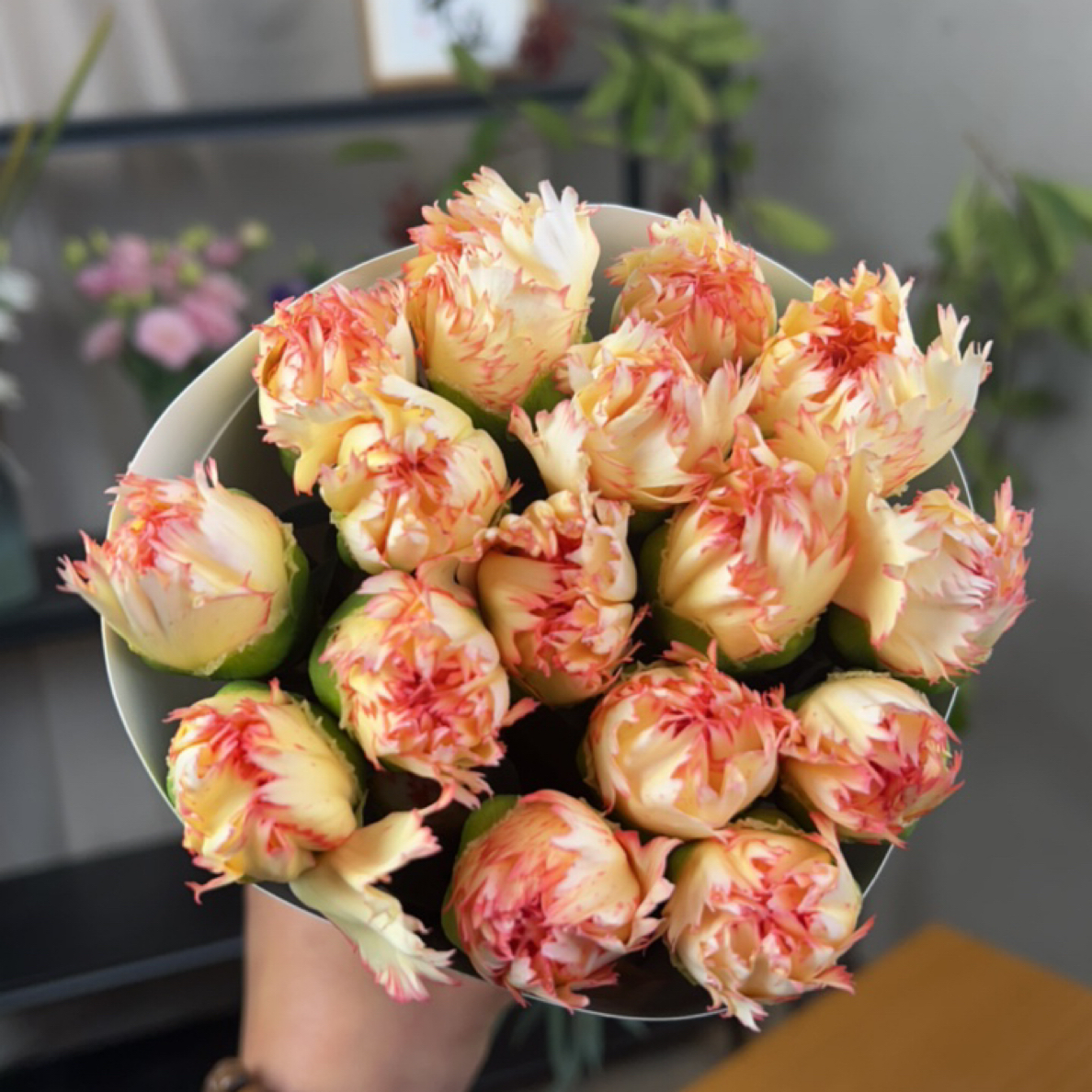 狂欢单头康乃馨顺丰任意两单包邮！0℃以下拍保温棉！受冻不售后！