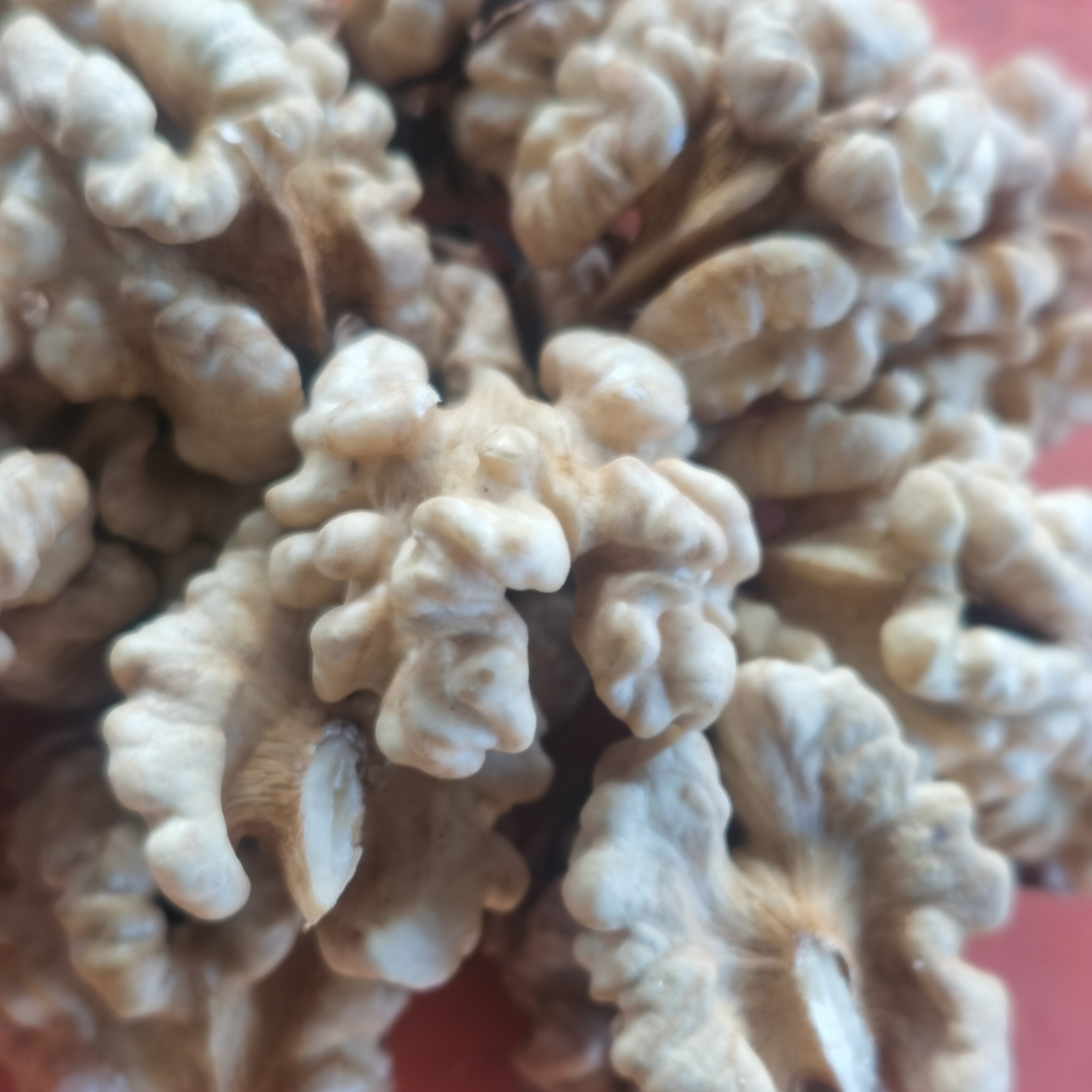 新鲜原味去壳生核桃仁小包装孕妇零食可用于糕点制作