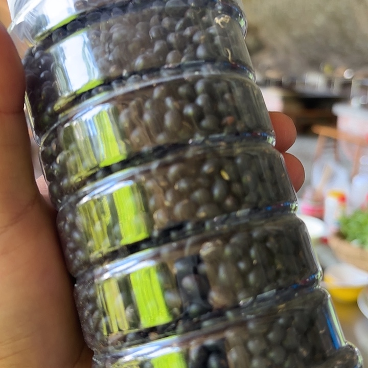 中国大陆农村黑豆豆