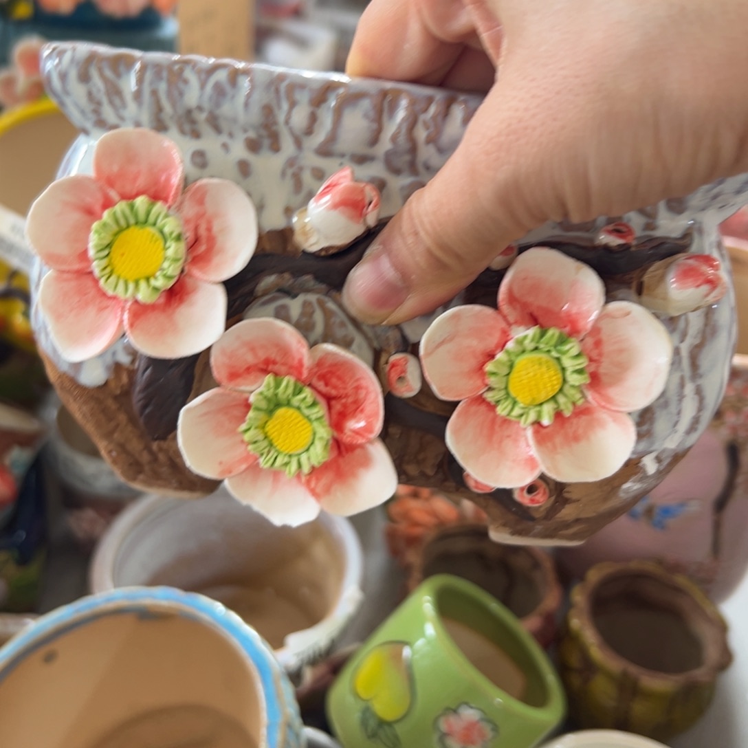 花盆，拍满20发货，退款拉黑