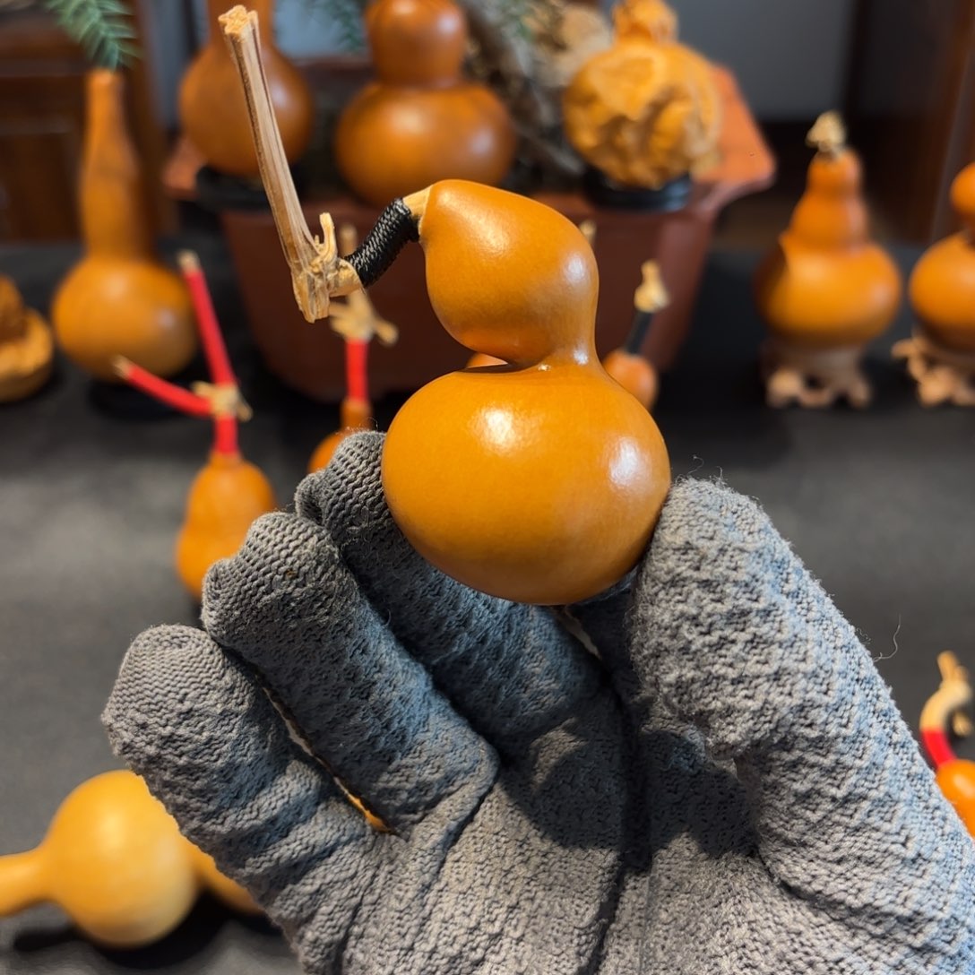 混***吝葫芦88888888888888