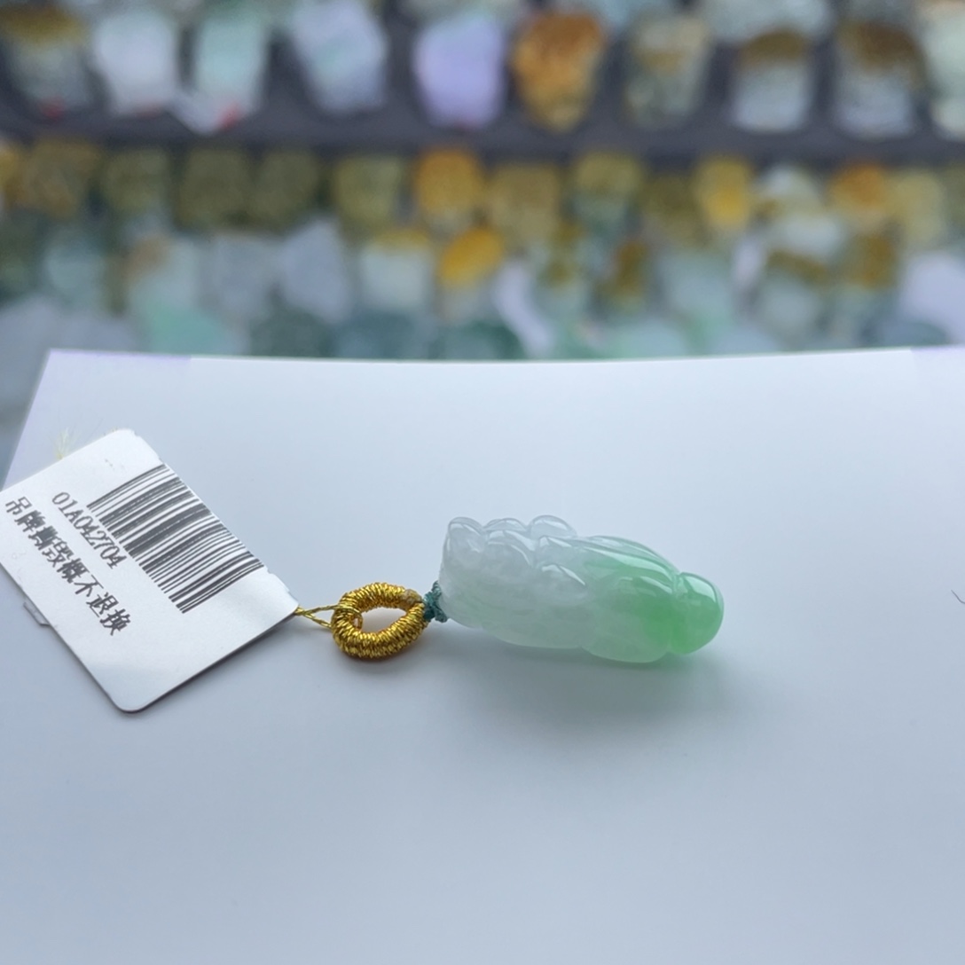 翡翠未镶嵌颈饰貔貅