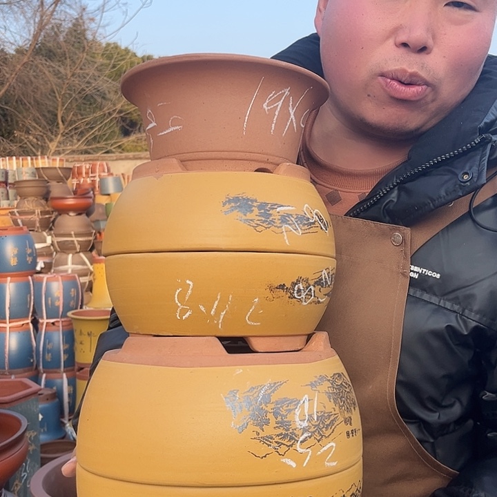 紫砂紫砂花盆盆栽