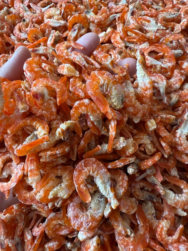 田横岛本地 对虾 虾米中小号