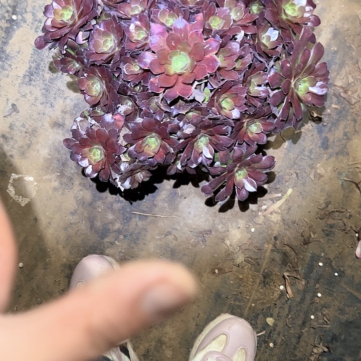 法师链接一物一拍13