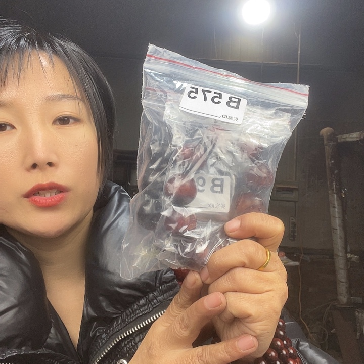 糖***人东非黑黄檀（紫光檀）575