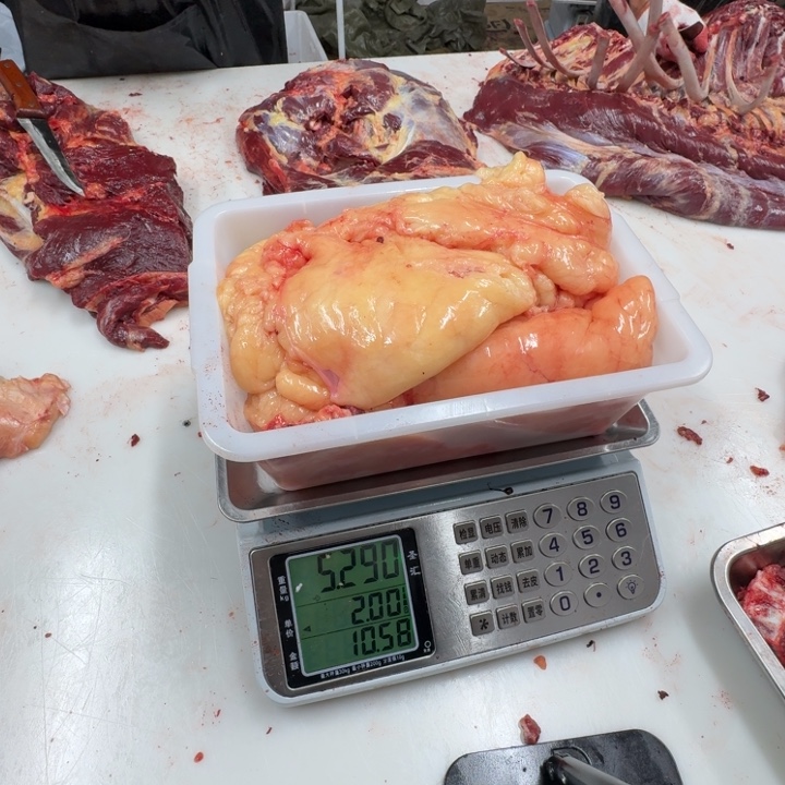 喀***司12个月中国大陆马板油