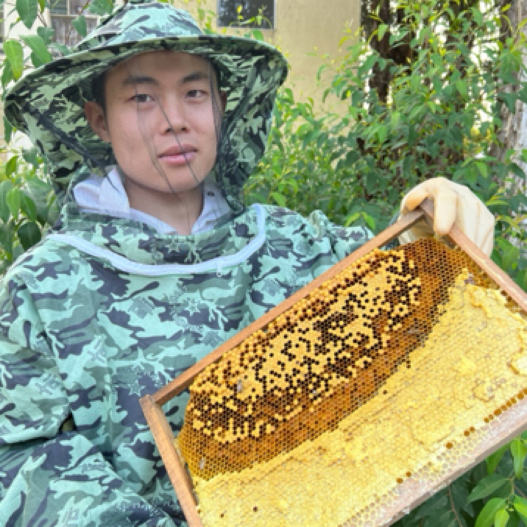 胡蜂皇2025《巢蜜》